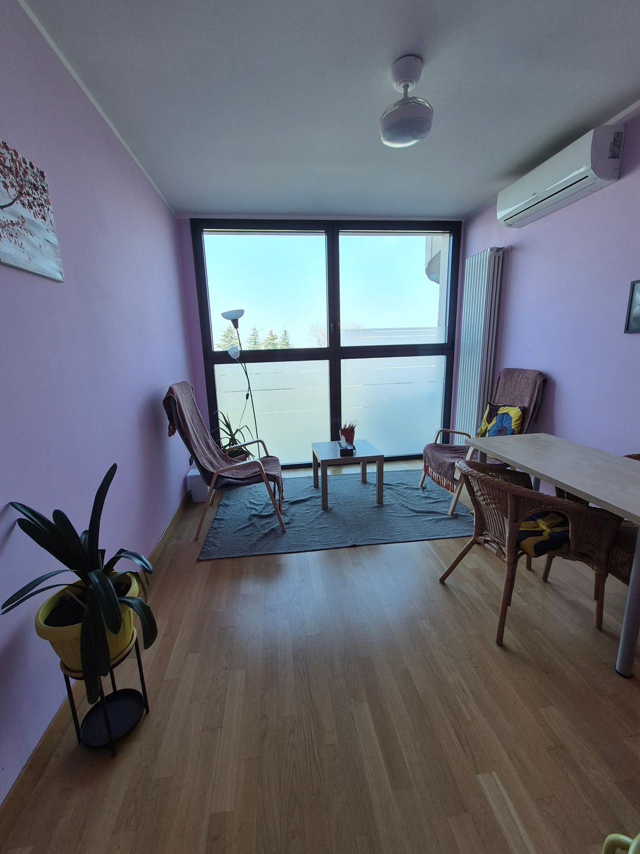 Mariana Vilma Colman-14