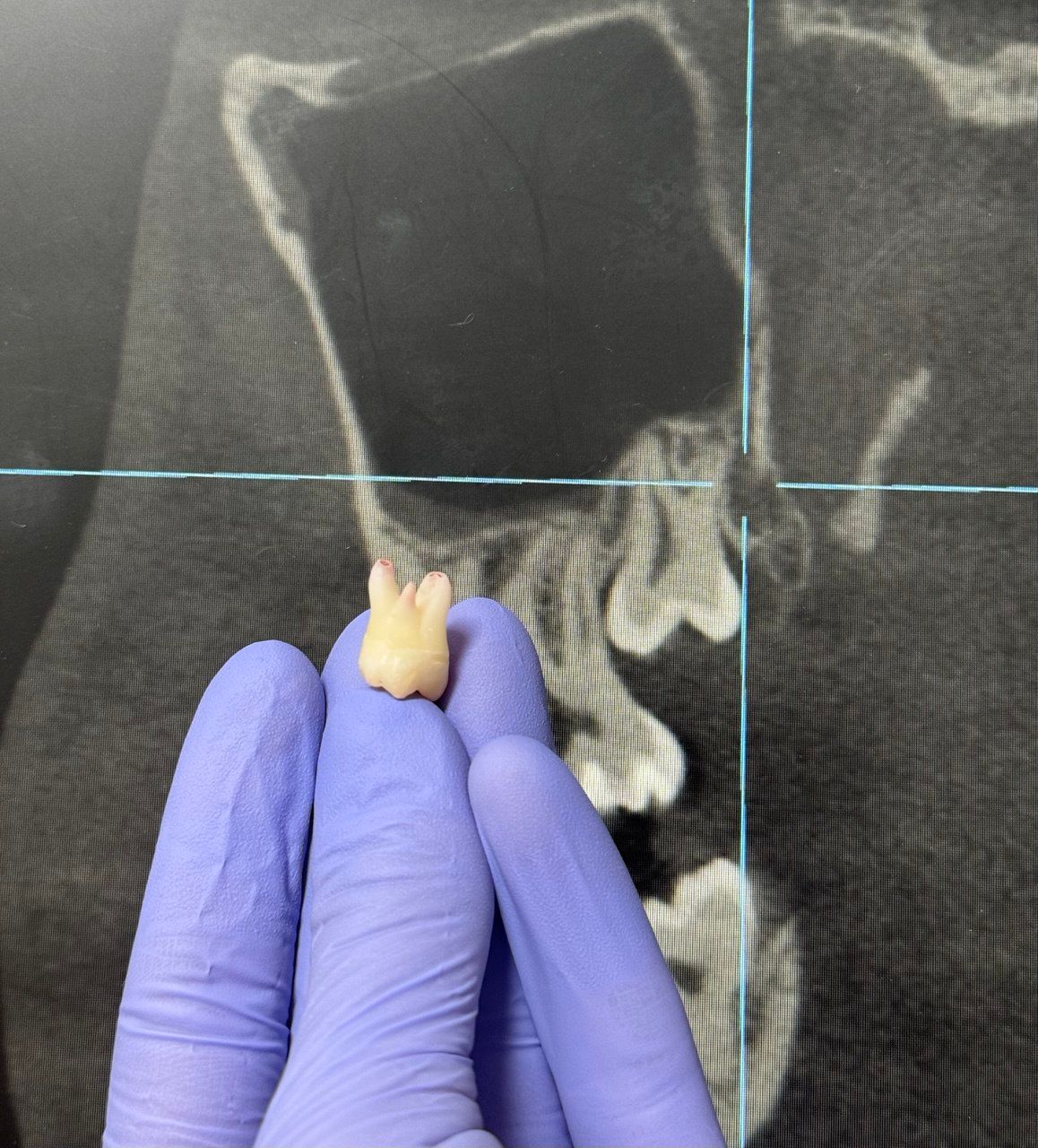 Valiantsina Uhlianitsa-3