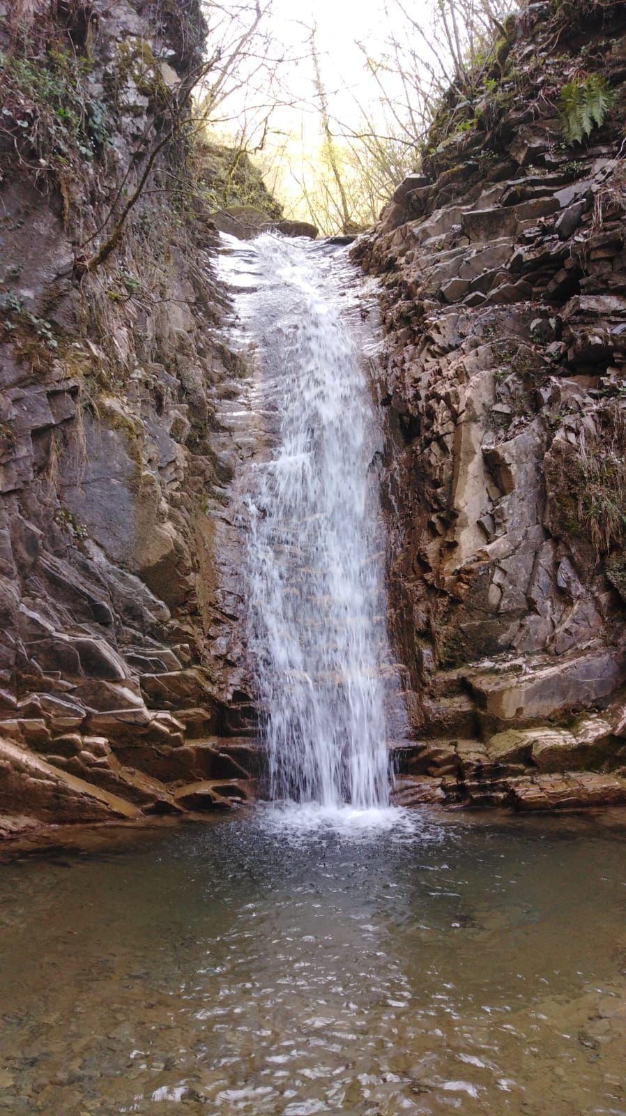 Francesco Sonzogni-101