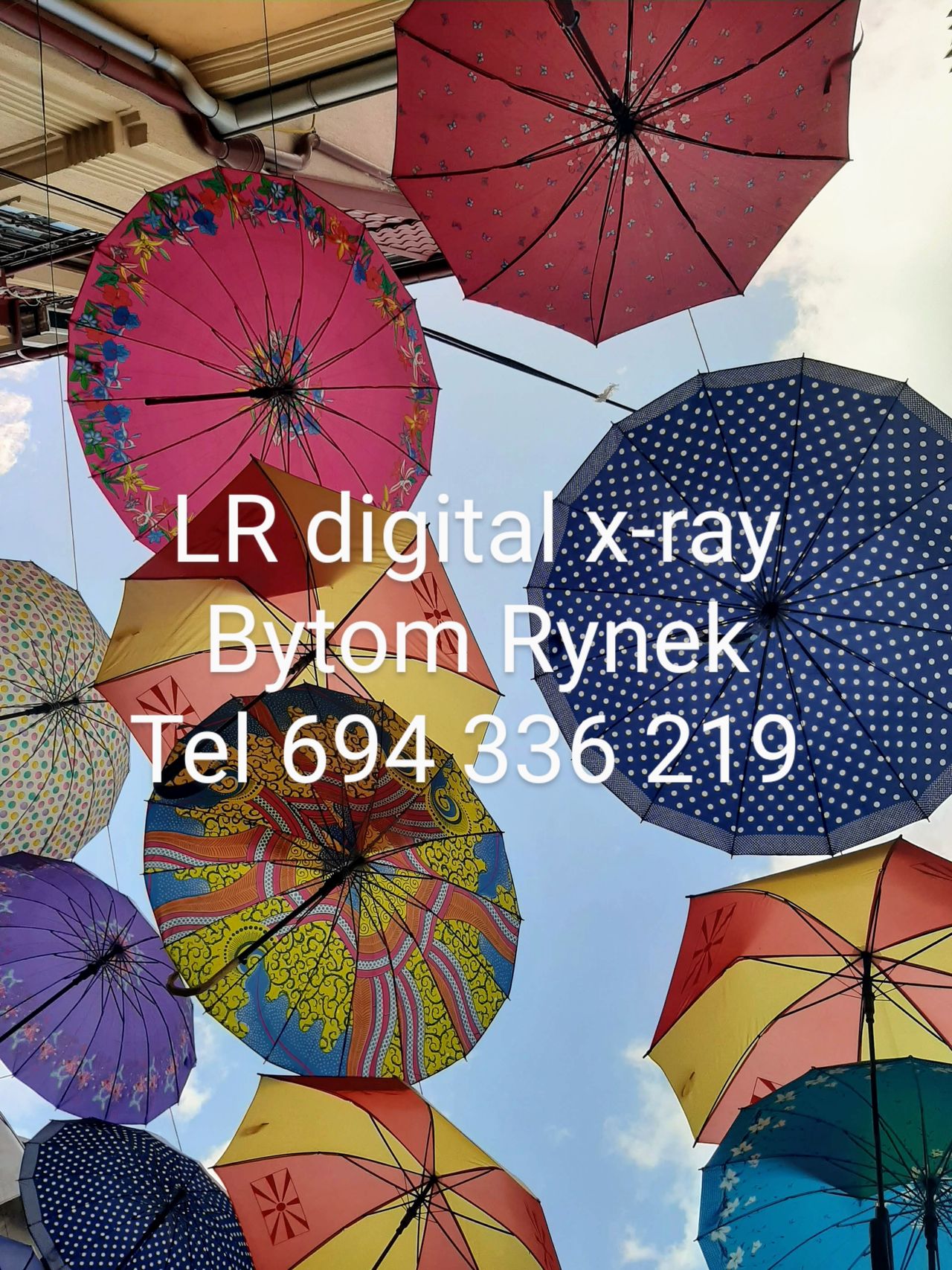 Grażyna Andruszkiewicz-29