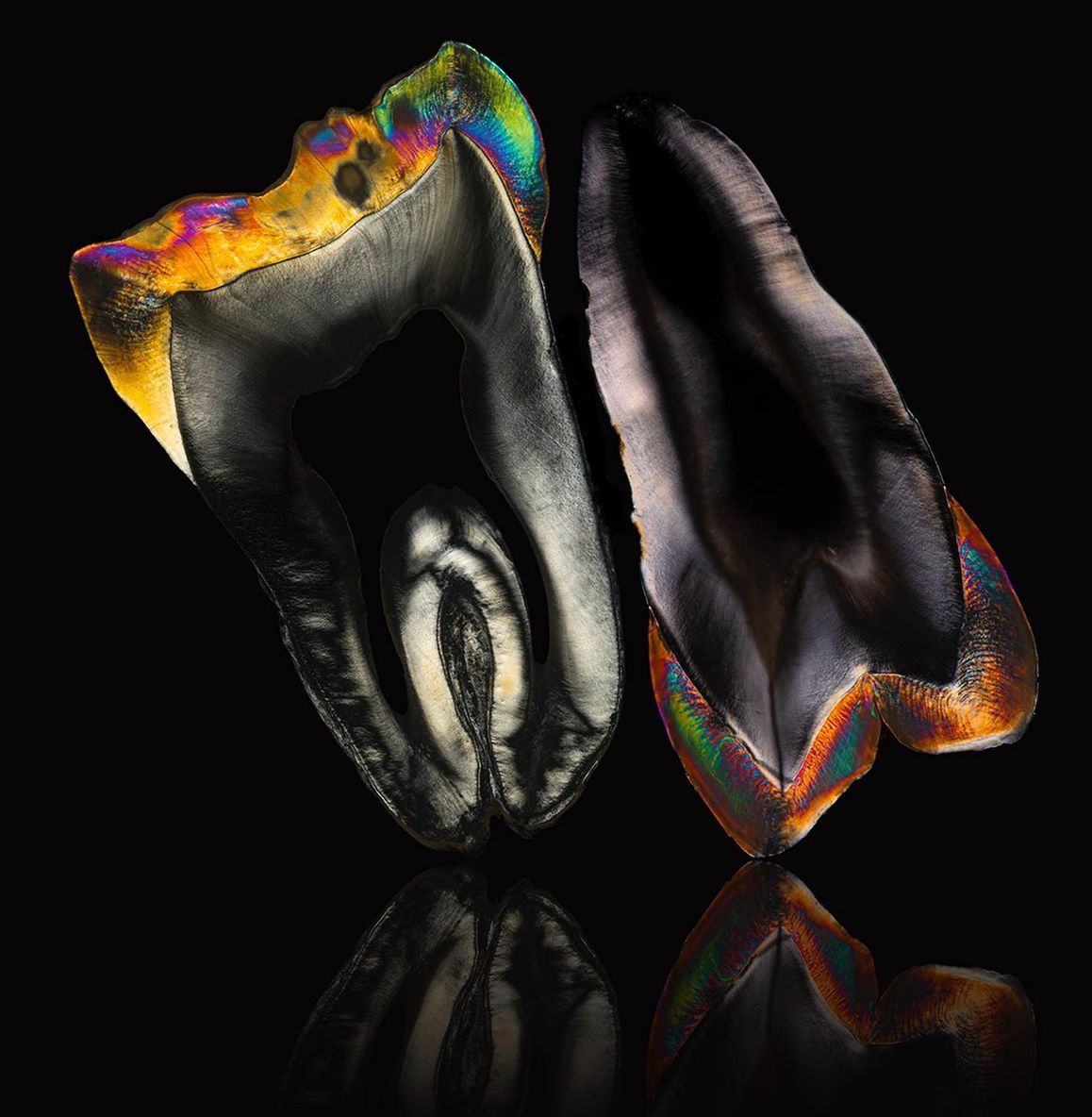 Francesco Giuseppe La Barbera-0