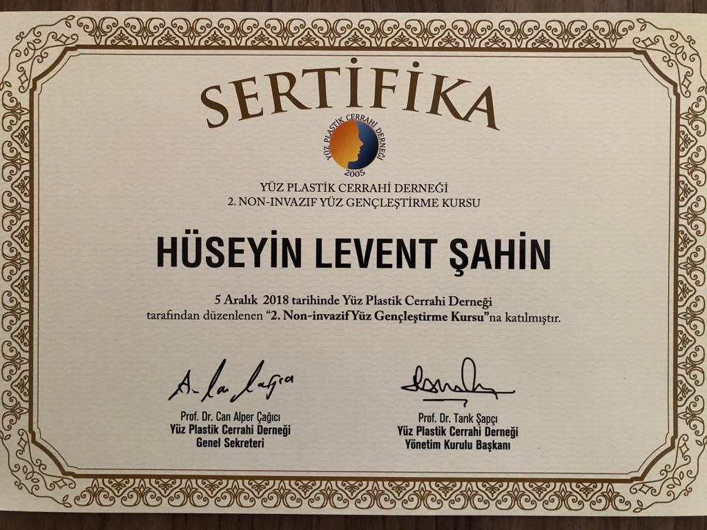 H. Levent Şahin-6