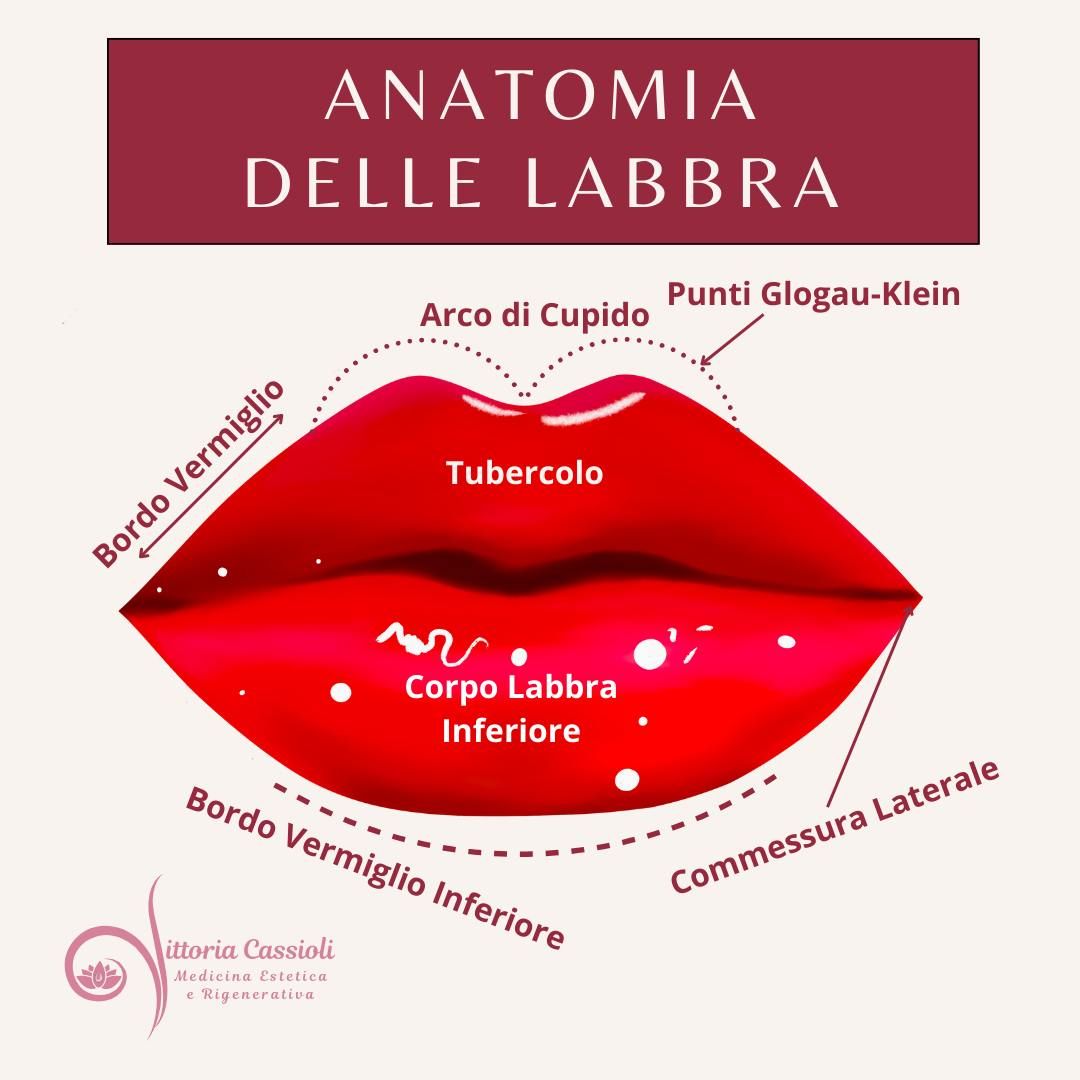 Vittoria Cassioli-35