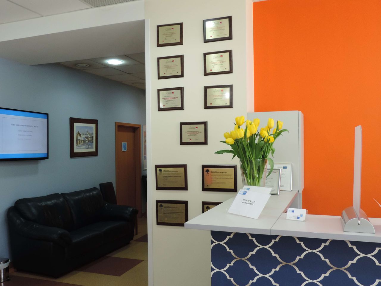 Anna Ejmocka-Ambroziak-8