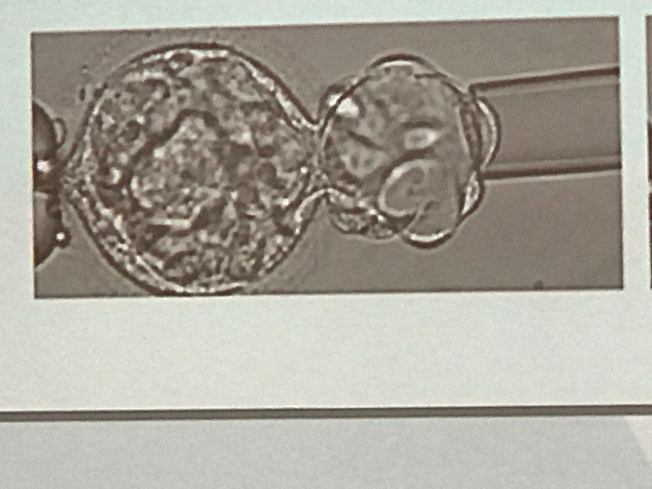 Grether Pérez Diaz-8