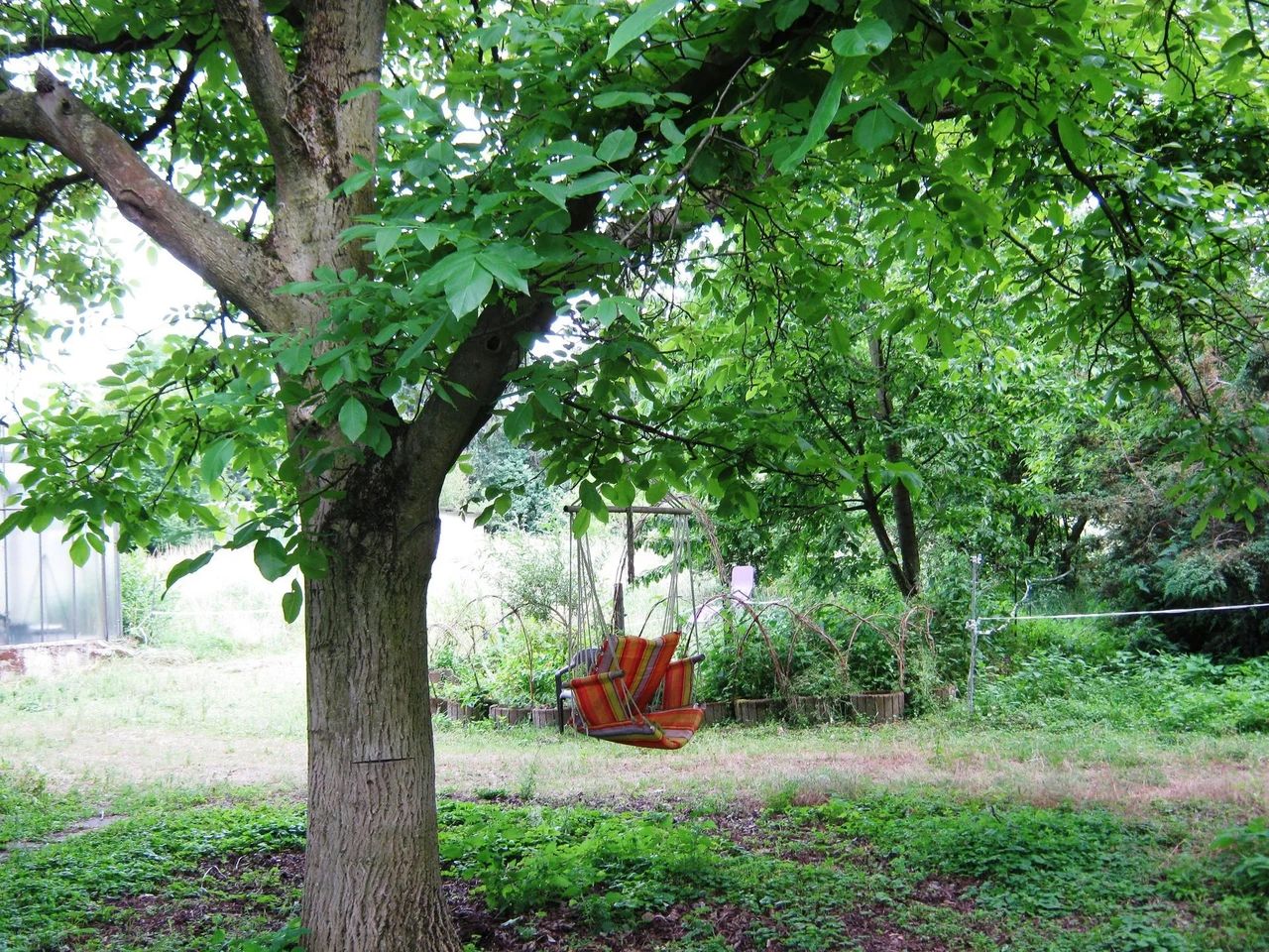 Daniela Zimmermann-6