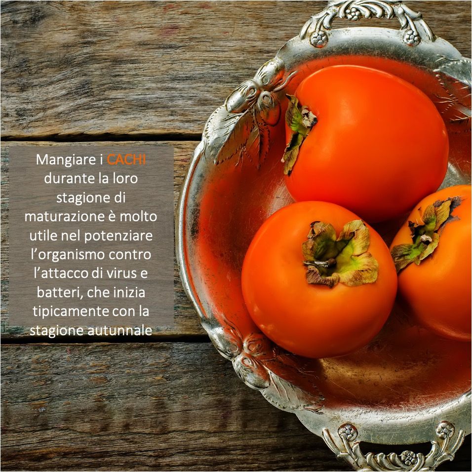 Ruggiero Francavilla-14