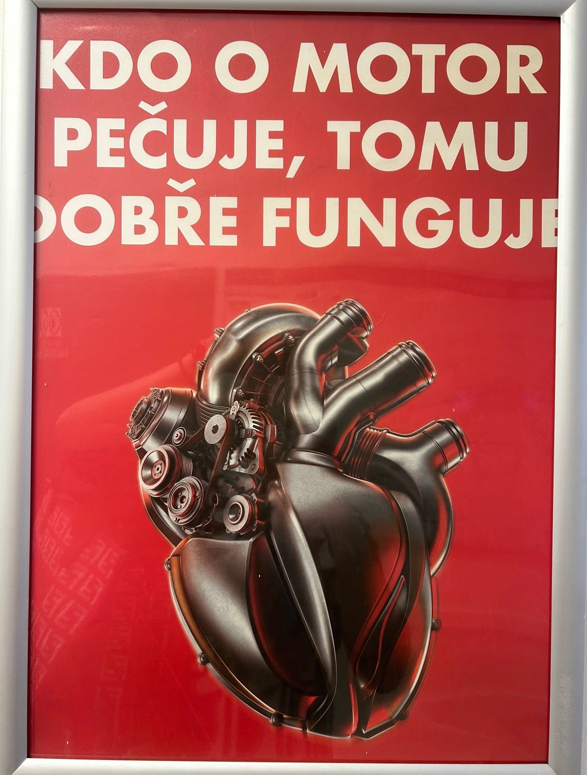 Wioletta Rozmus-Warcholińska-191