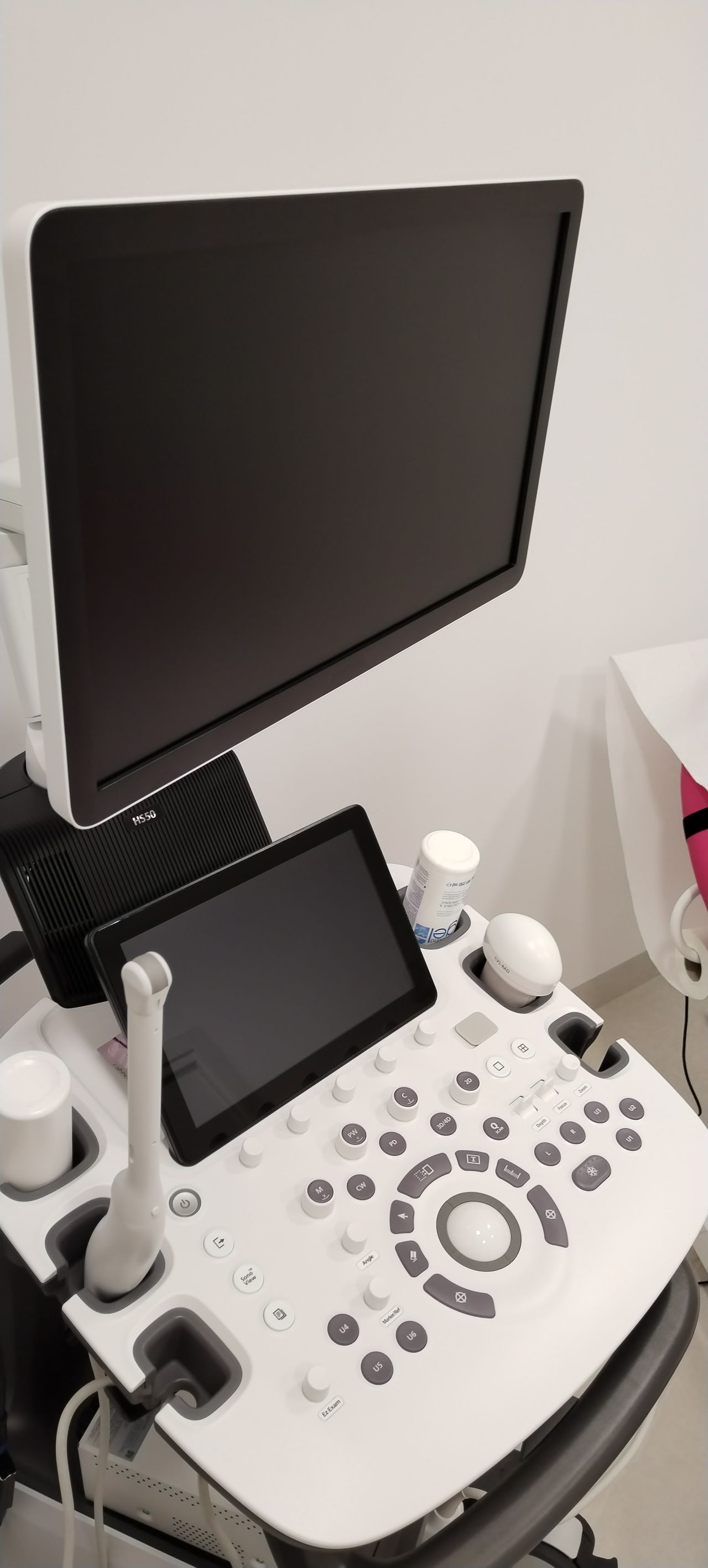 Maria Pinel Rosario-11