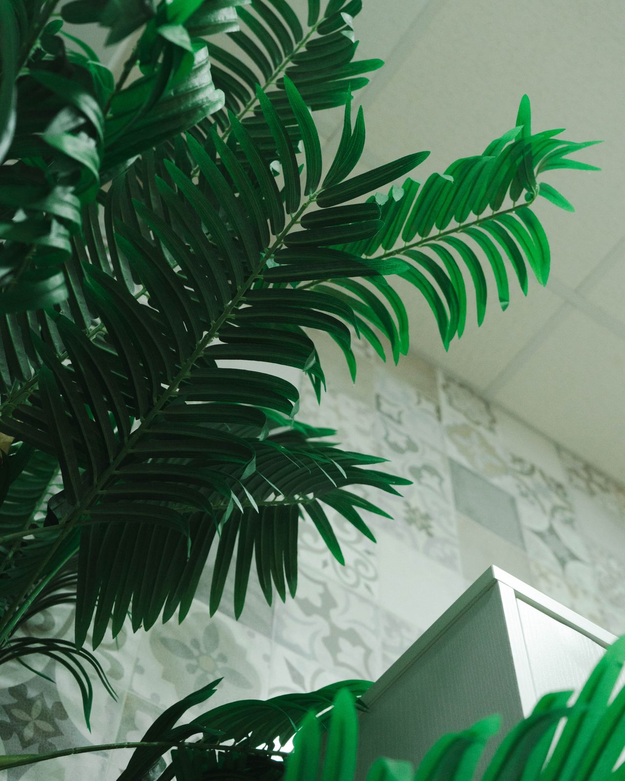 Diana Martín Cordero-2