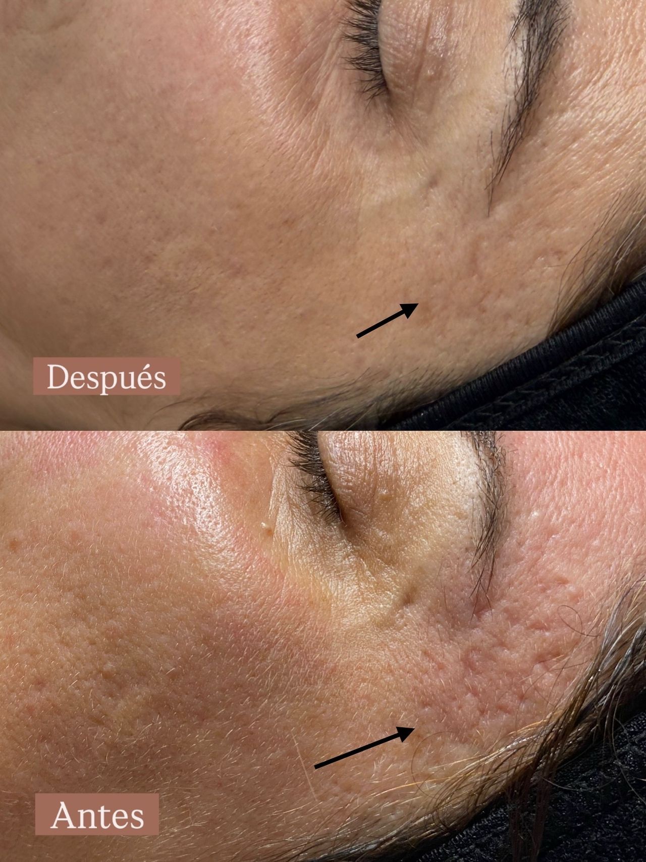 Àngels Nicolau Mesquida-1