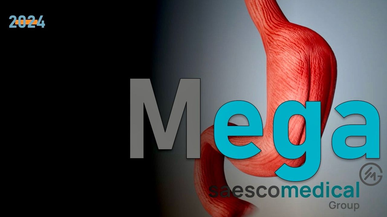 José Luis Domínguez Jiménez-12