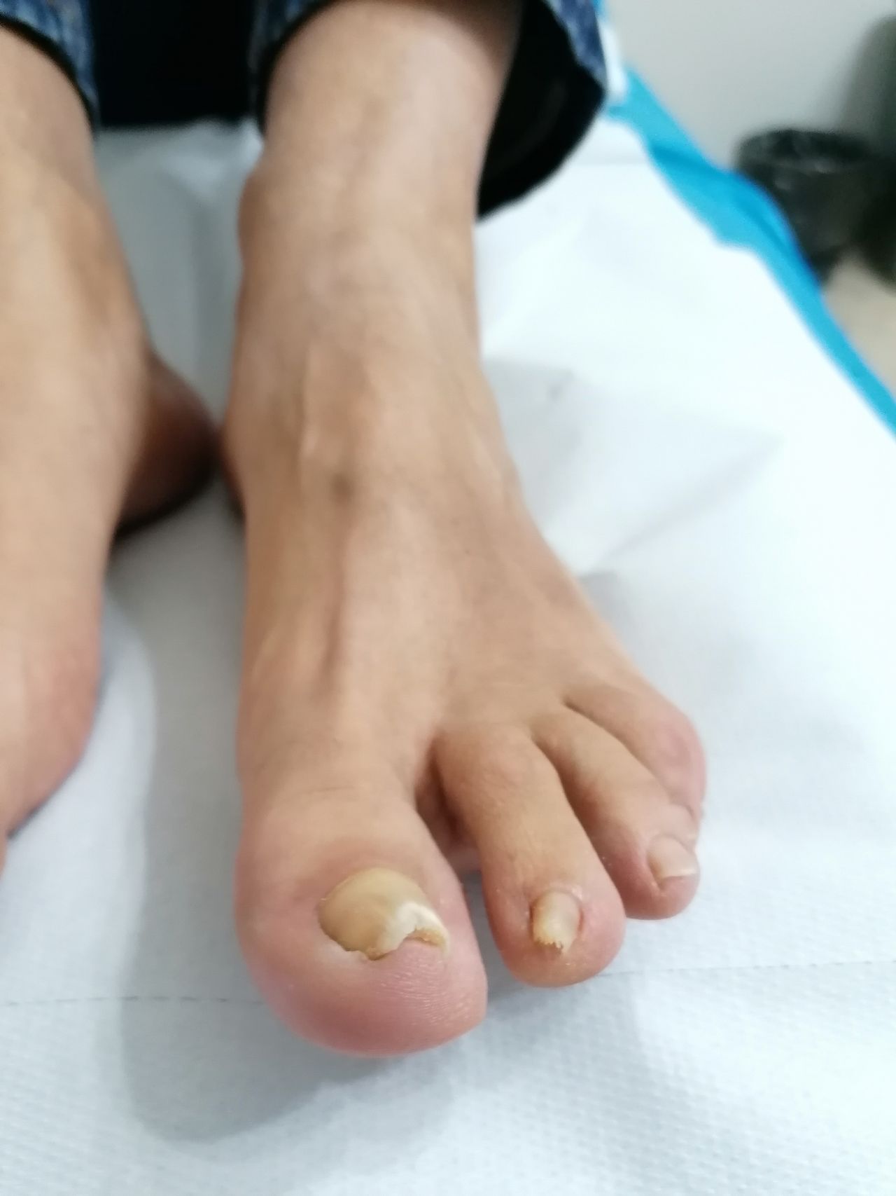 Kassandra Nicolosi-152