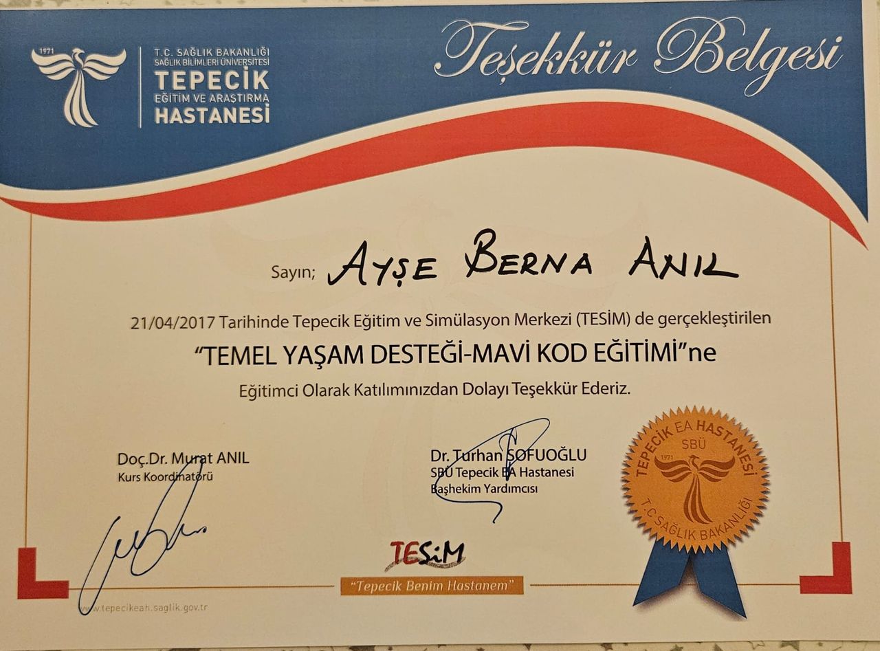 Ayşe Berna Anıl-18