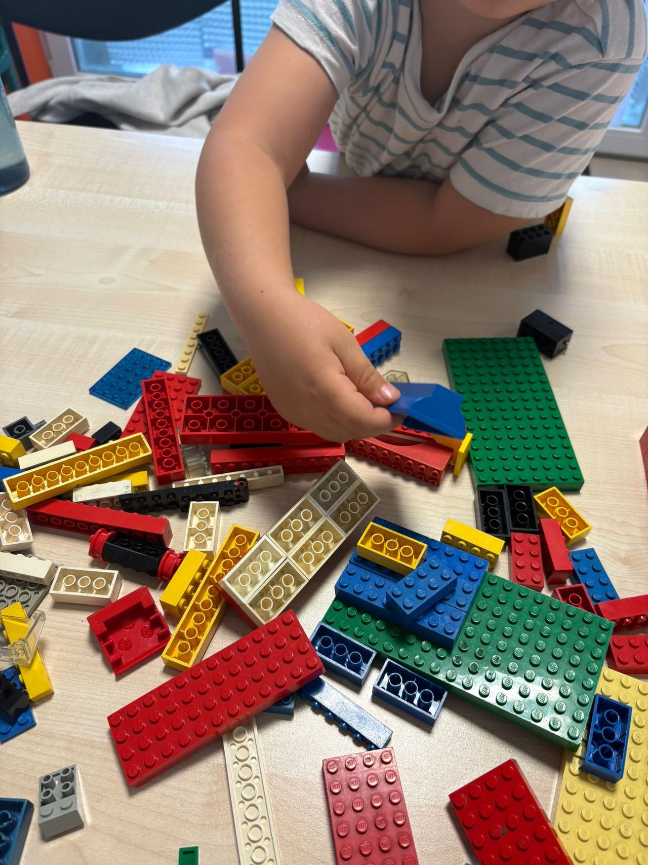 Maria Aurora Farris-13