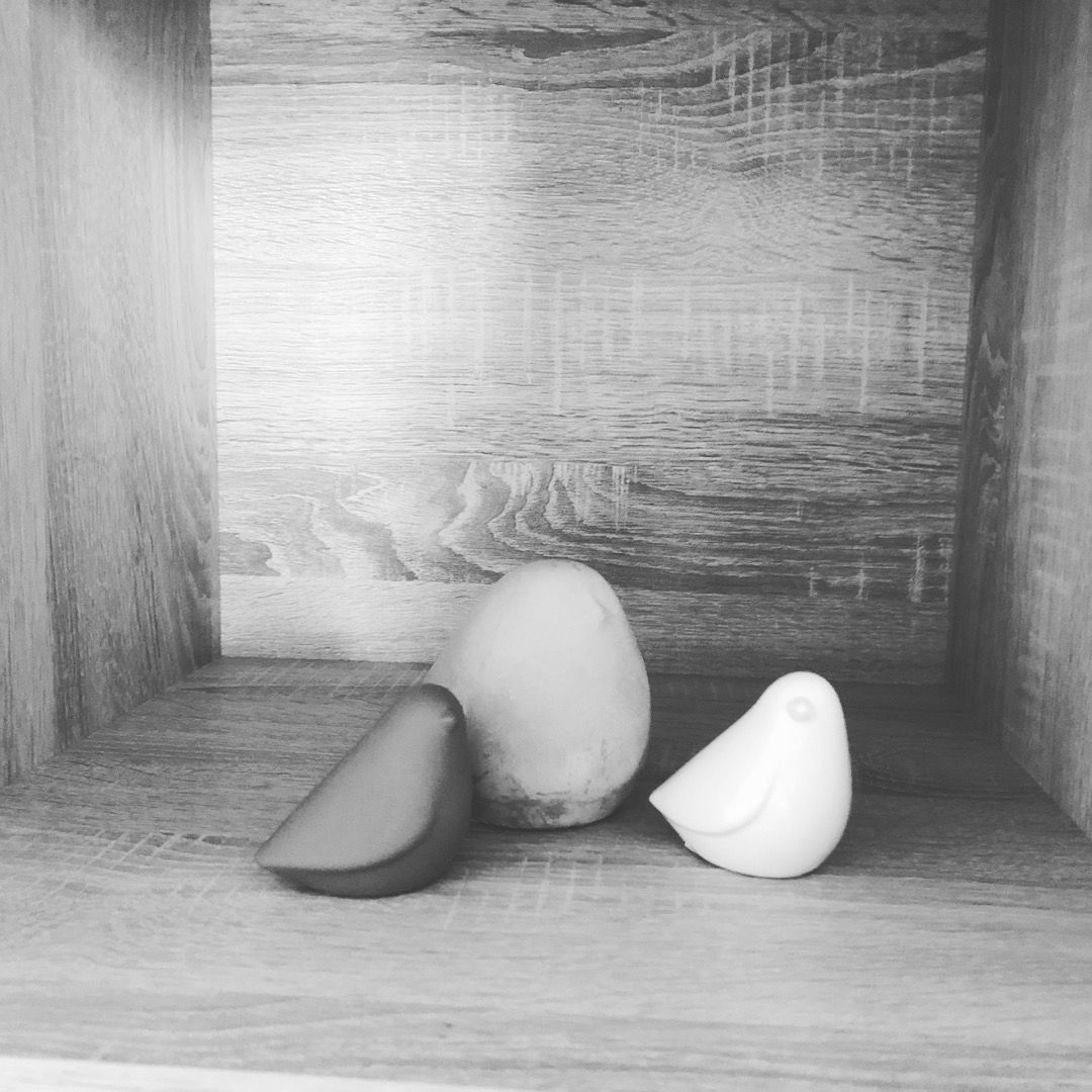 Federica Cirimbilli-1