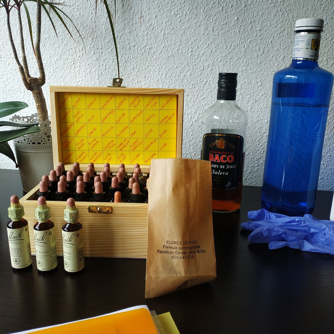 Carmen Paz Alza Millie-18