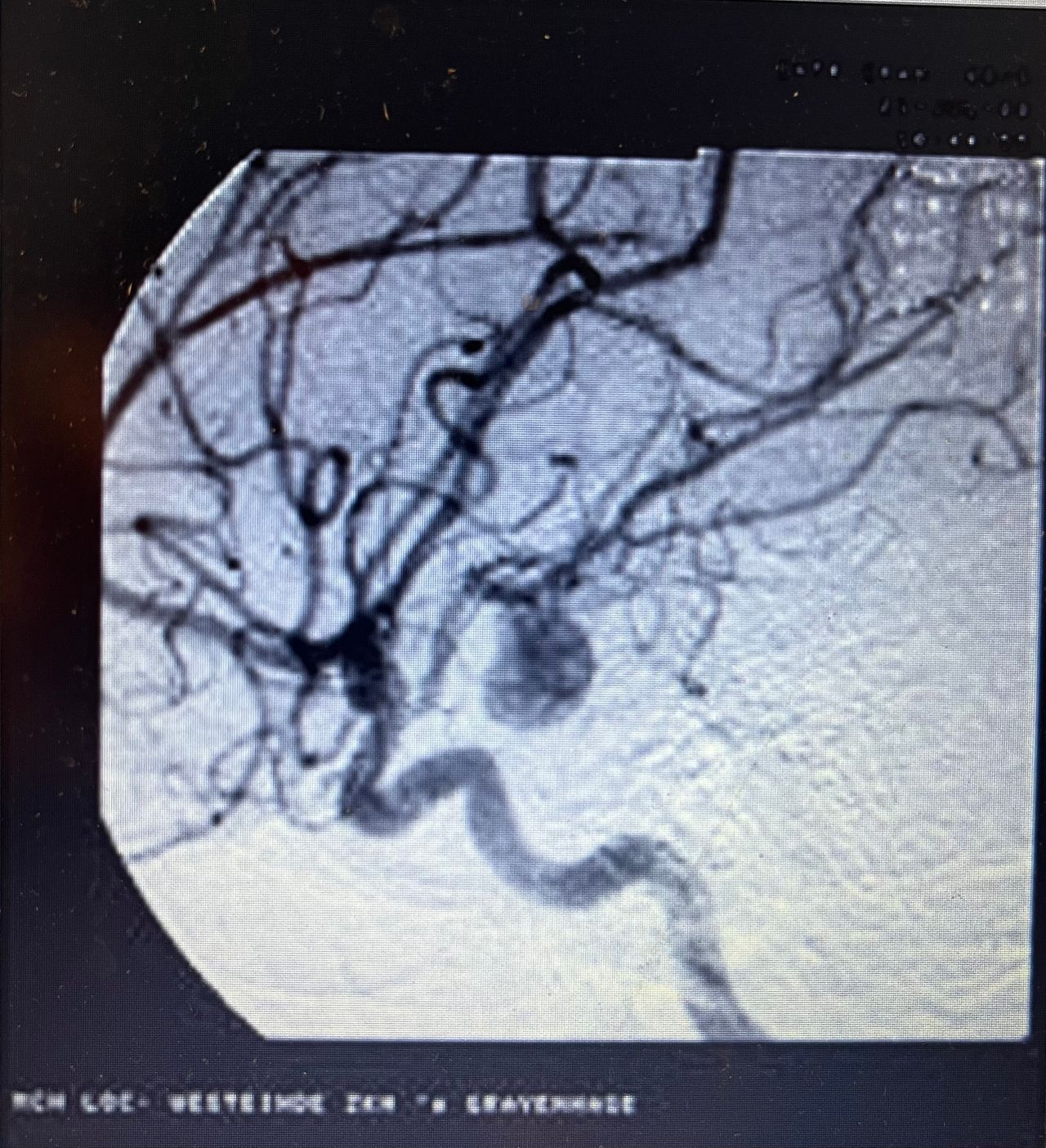 Domenico Martiniello-4