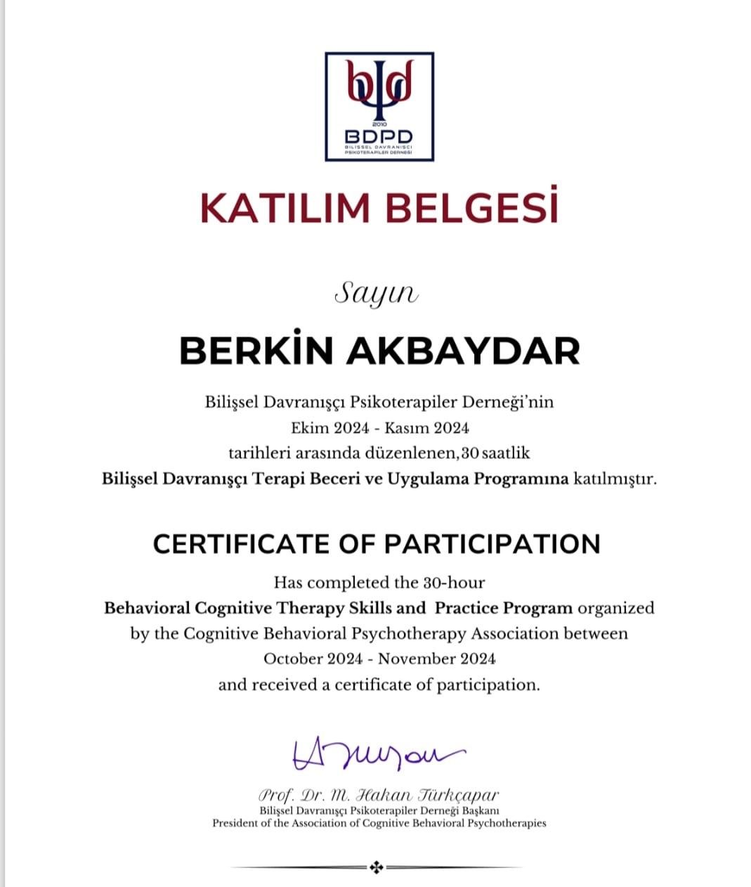 Berkin Akbaydar-4