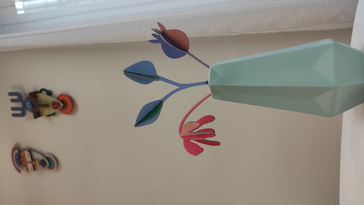 Sandra Vaamonde Luna-1