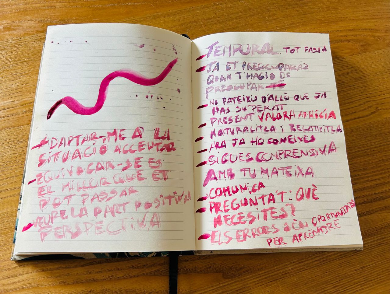 Gemma Forcada Vilches-3