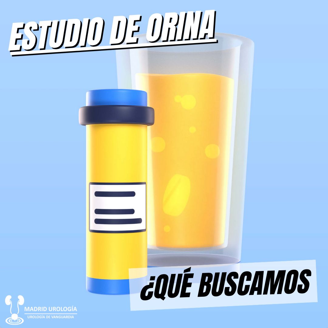 Luis Fernando Susaníbar Napurí-92