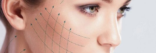 Rosa Pérez Parera-4