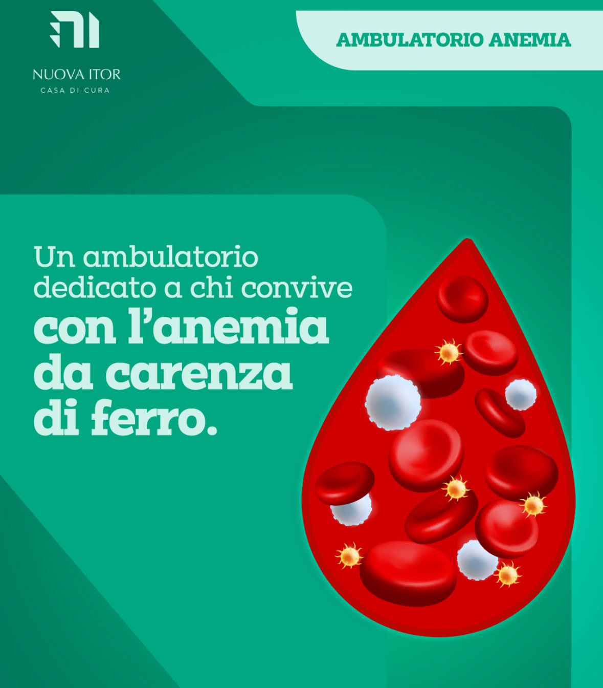 Elias Attalla Elhalabieh-0