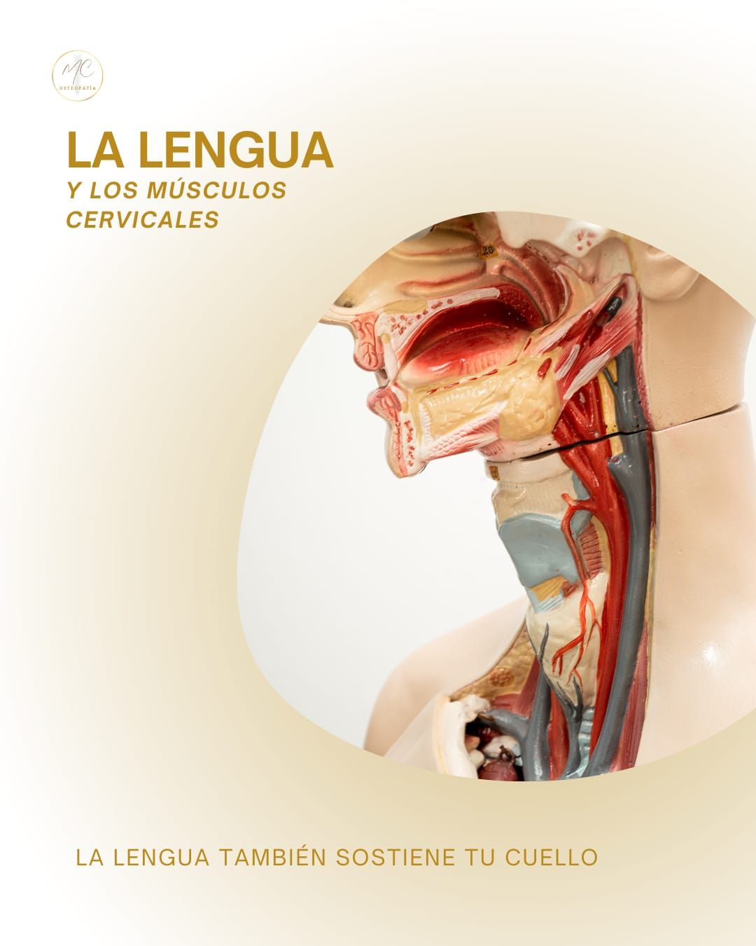 Matías Elvis Cáceres-18