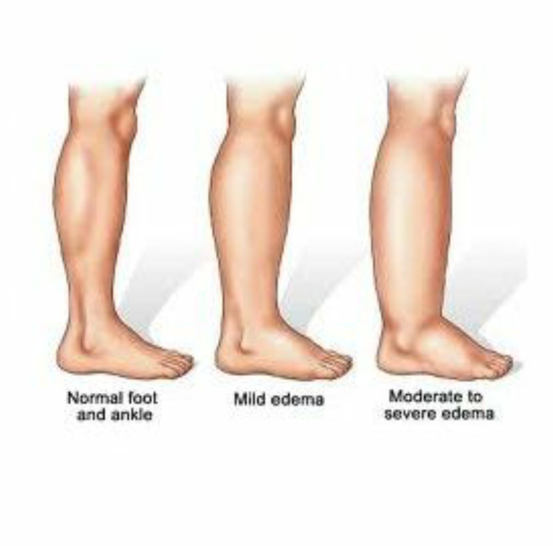 Stefania Lanfranco-6