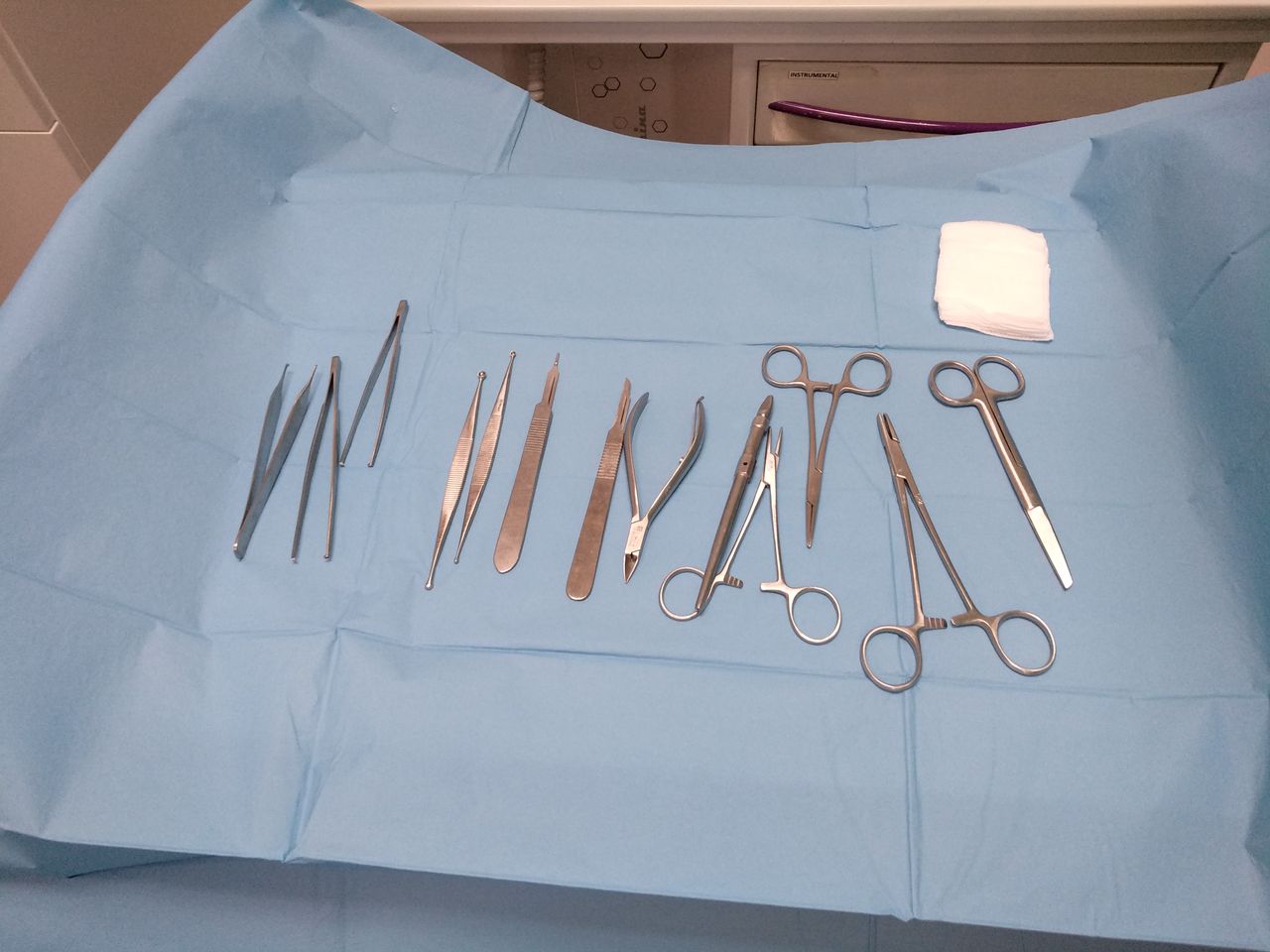 Salomé Antón Arnal-9