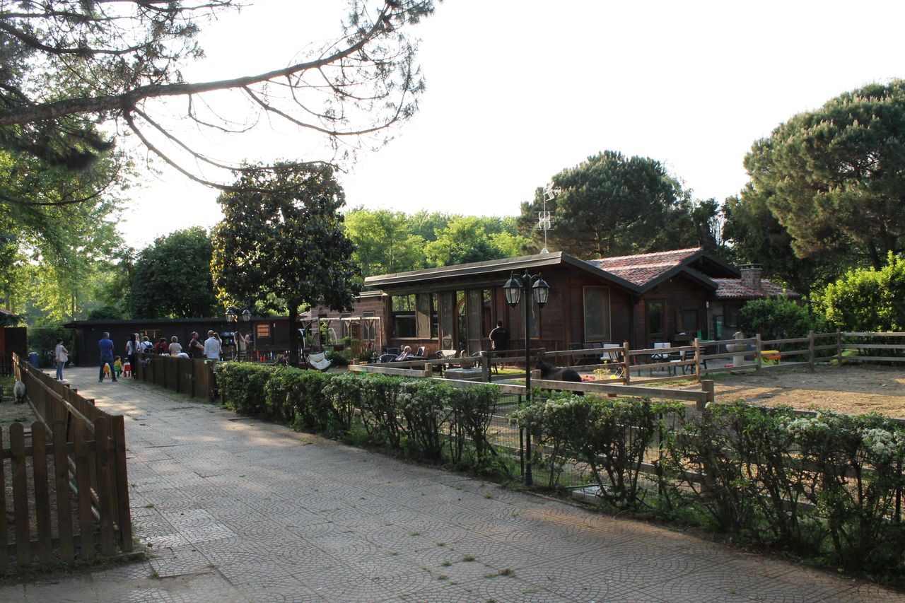 Sonia Sara Civallero-6