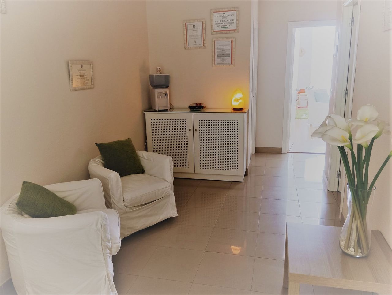 Virginia Herrero Cañamero-1