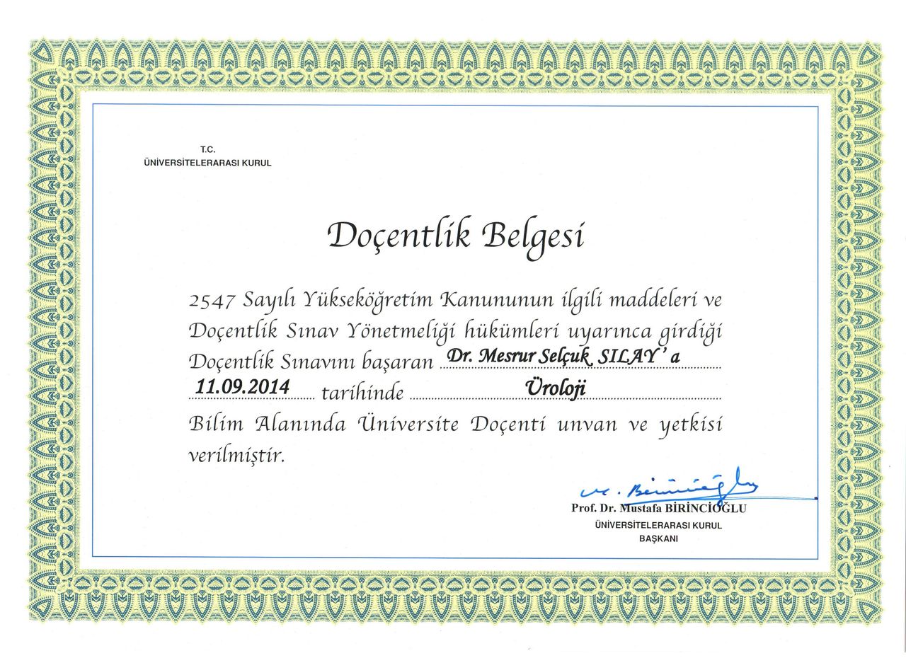 Mesrur Selçuk Sılay-11