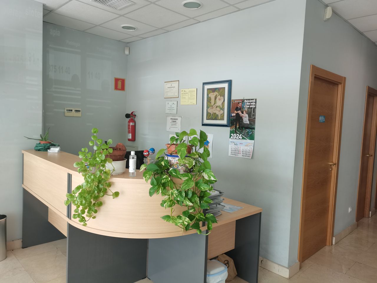 Angeles Fernández Ruiz-2