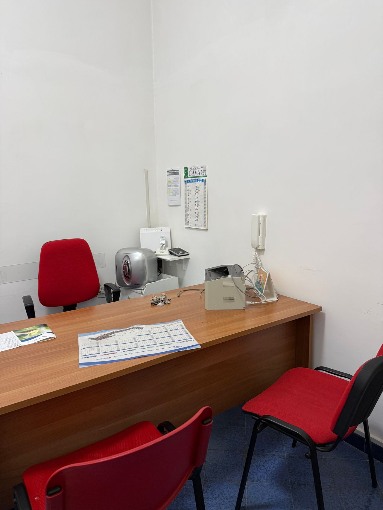 Federica Annunziata-1