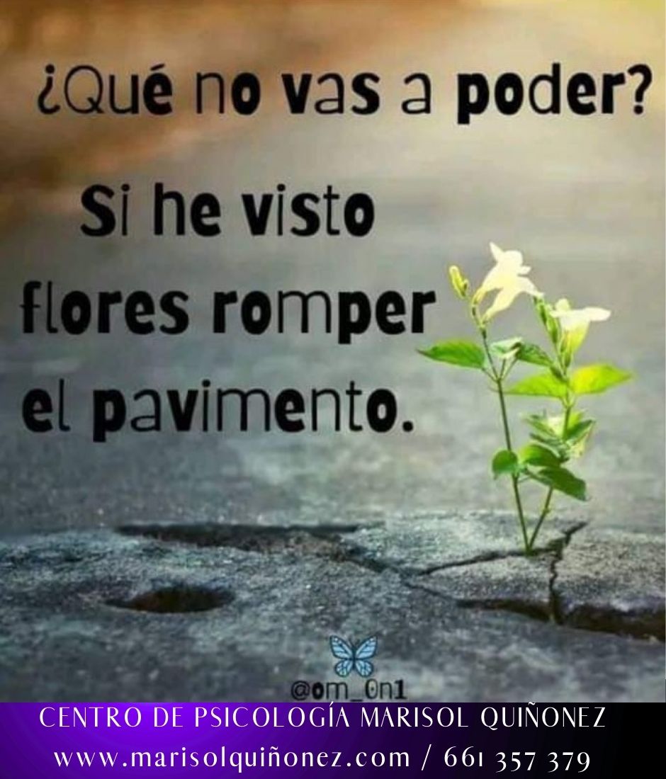 Marisol Quiñonez Quintero-77