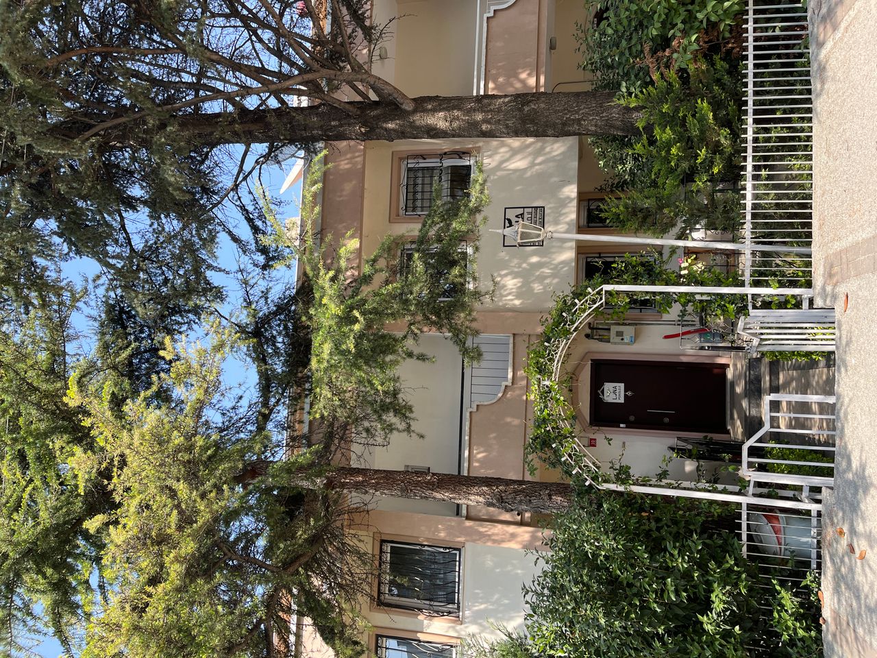 Şule Lütfiye Kıvrak-31