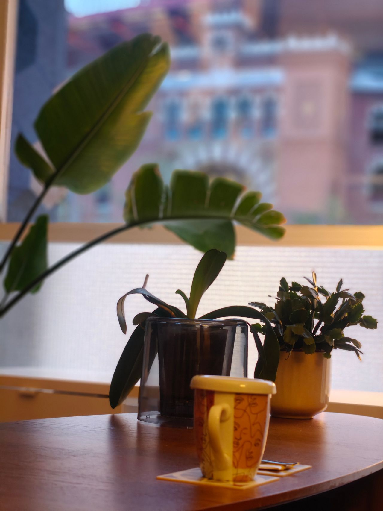 Juan Manuel Soneyra Ossola-0