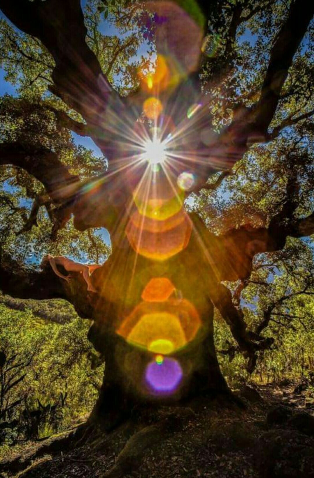 Francesco Sonzogni-55