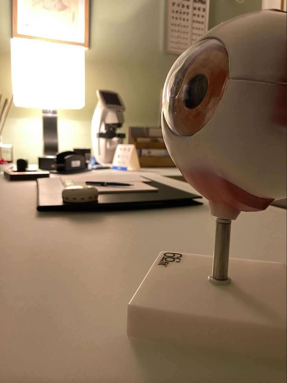 Giuliano Mazzella-19