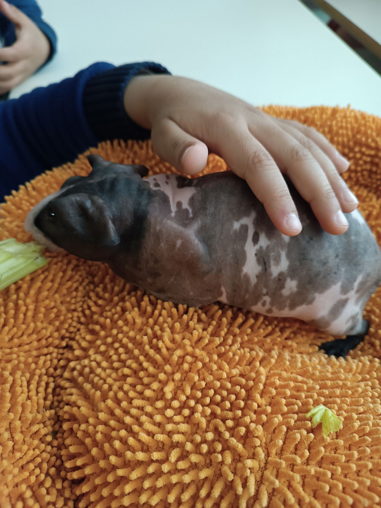 Sonia Sara Civallero-9