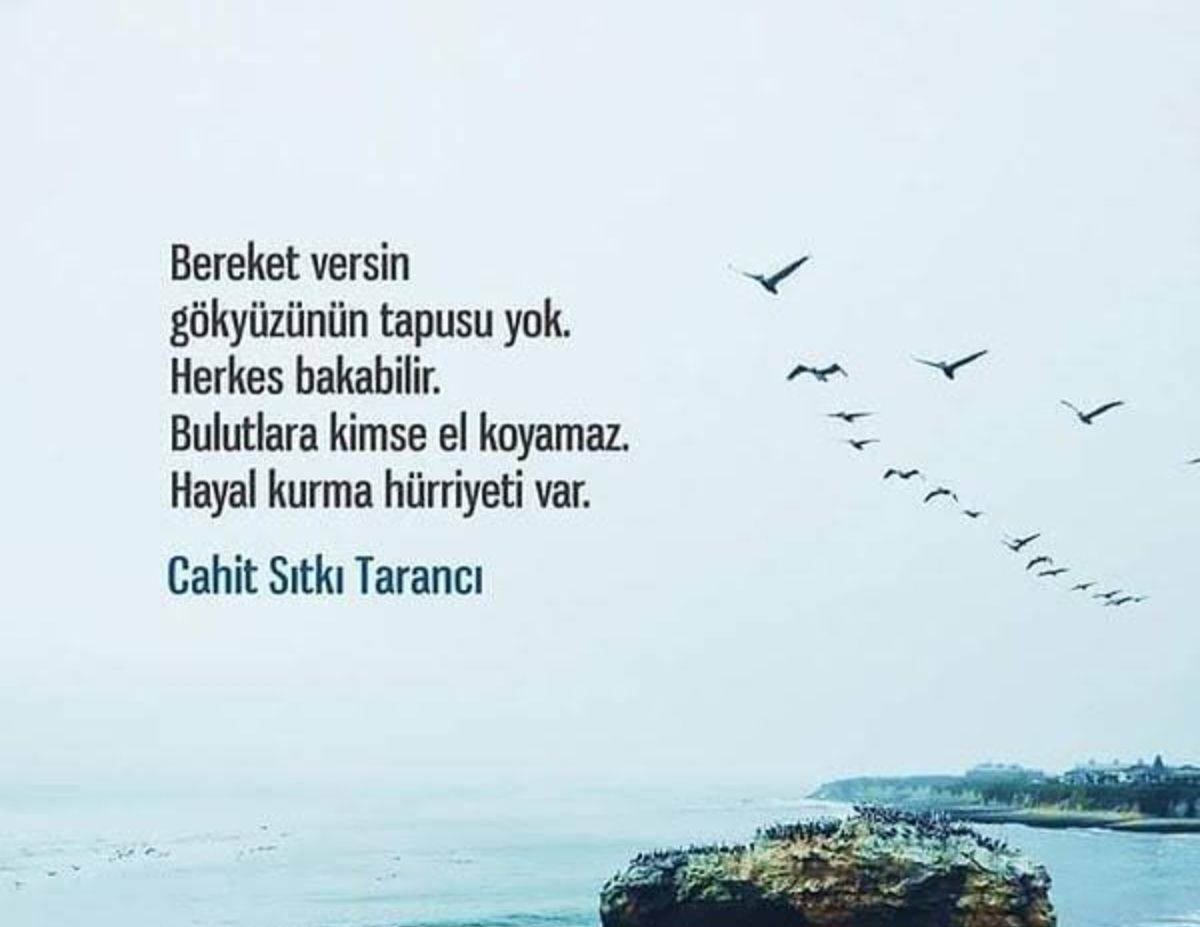 Ayşen Betül Okat-77