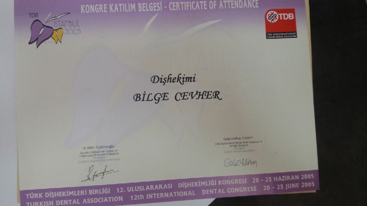 Bilge Cevher-10