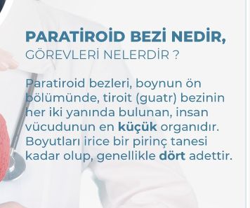 Ayhan Bülent Erkek-1