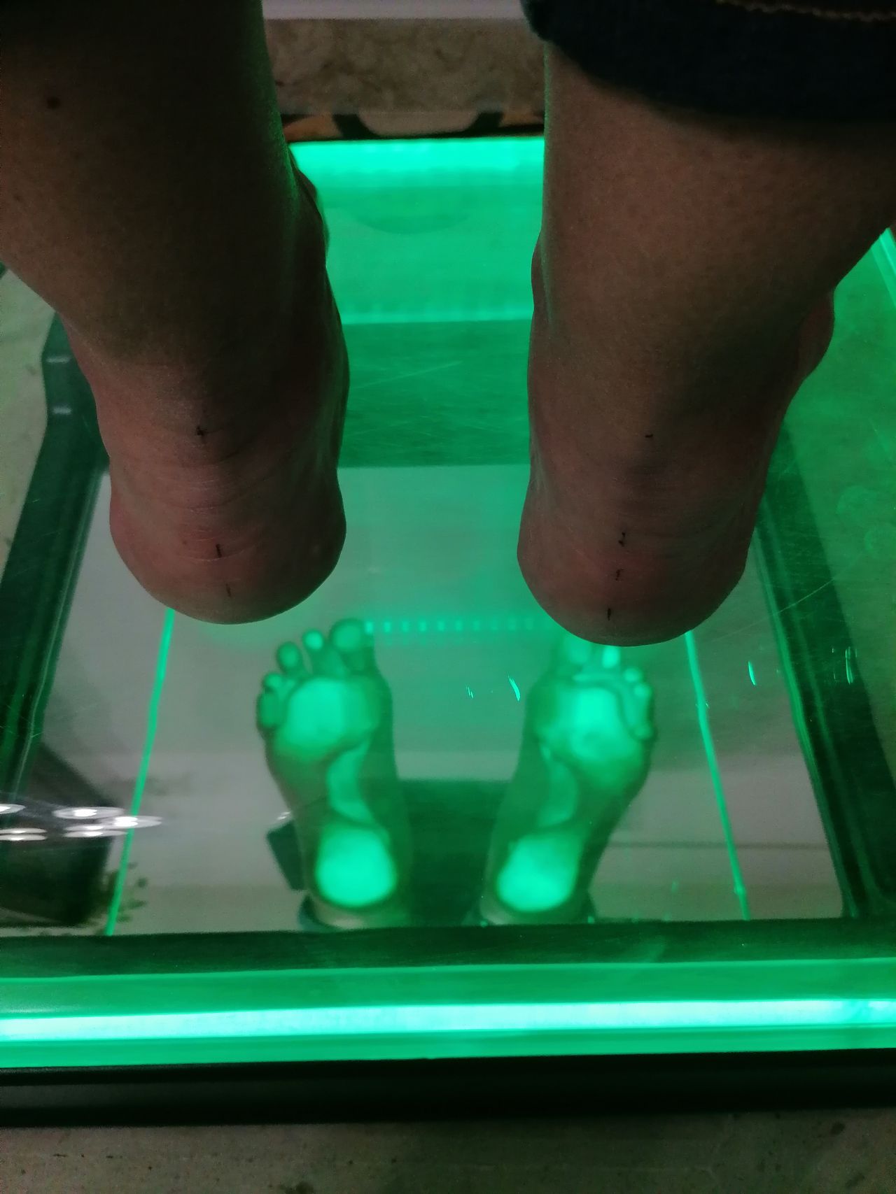 Kassandra Nicolosi-68