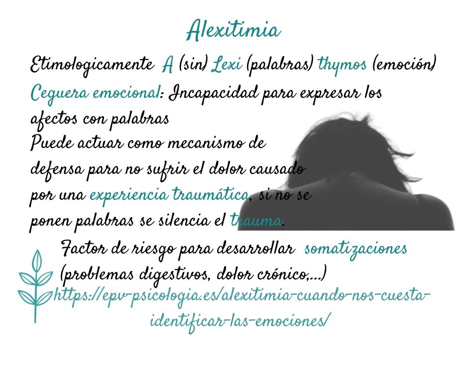 Elvira Pérez Vázquez-20