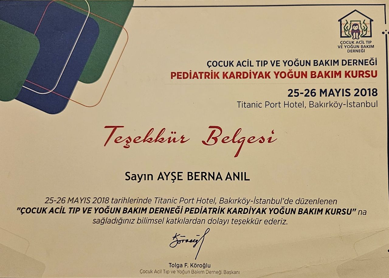 Ayşe Berna Anıl-29
