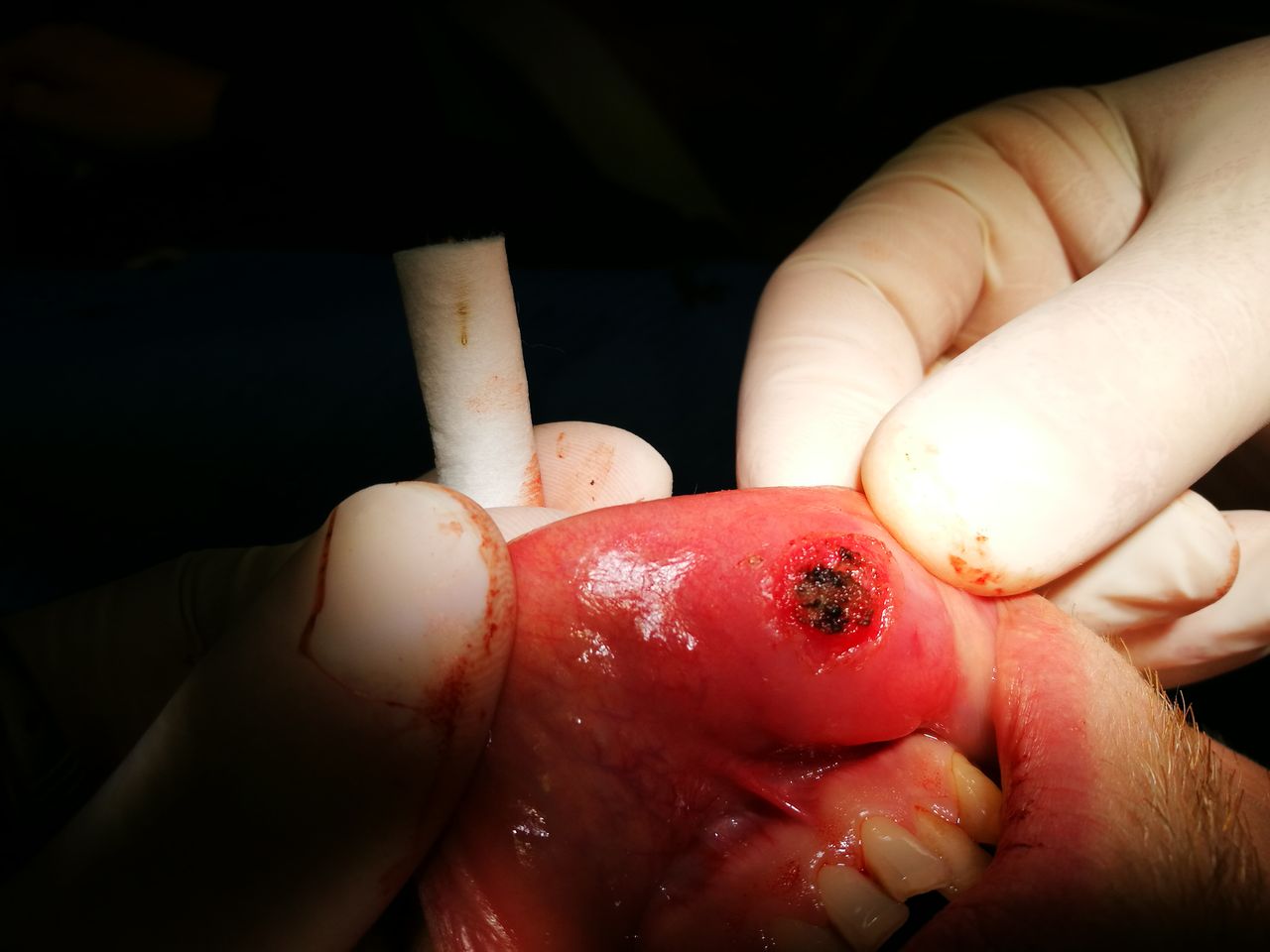 Stefano De Simone-14