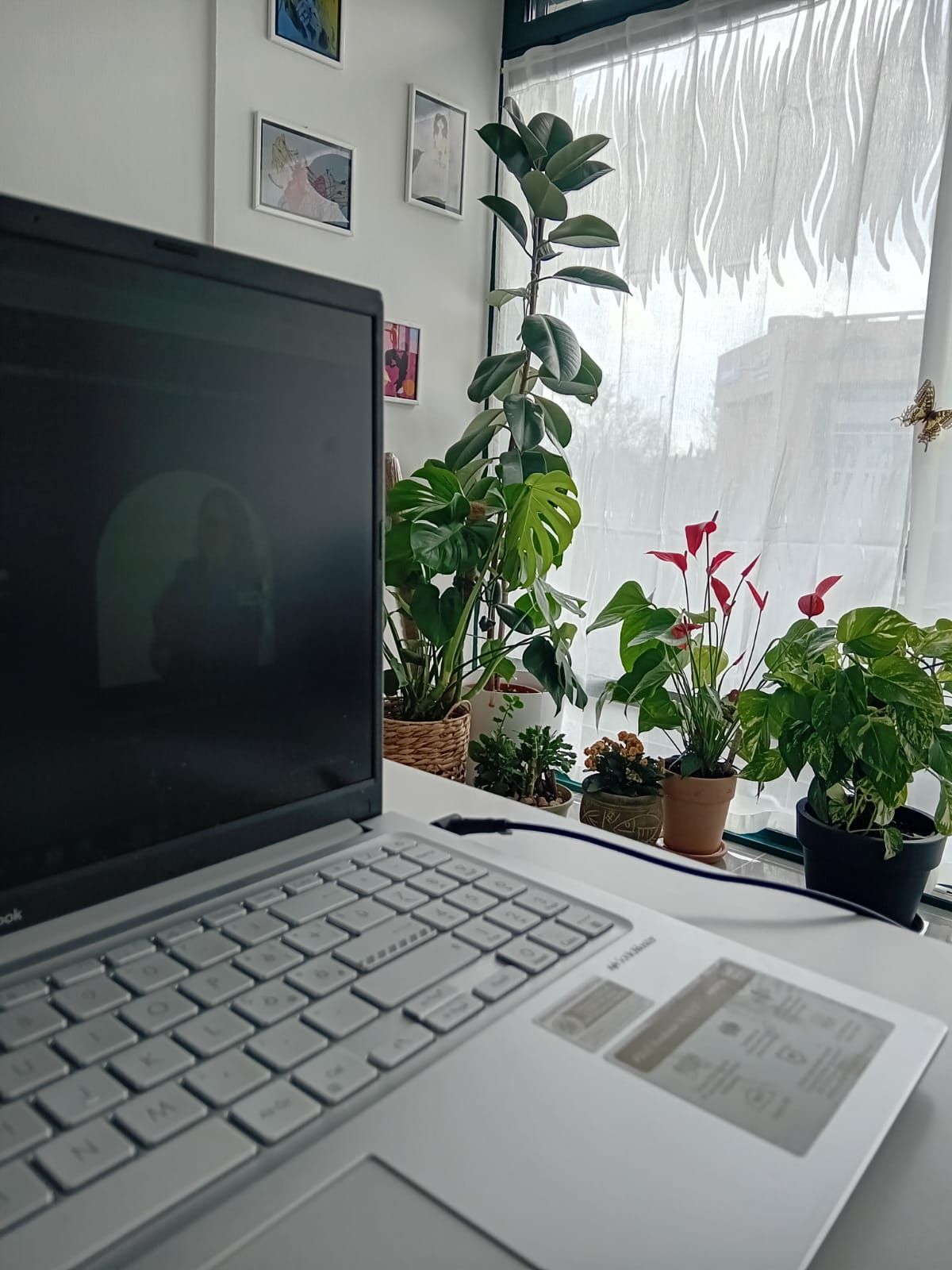 Linda Giuditta Bari-1